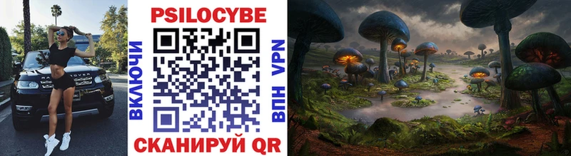 купить наркотики сайты  ОМГ ОМГ ССЫЛКА  Псилоцибиновые грибы Magic Shrooms  Нерюнгри 